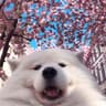 Profile picture of Vix Clotet