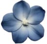 Profile picture of Erin Manley